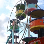 De raddraaier De raddraaier