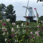 Molen Molen