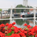 Bloemen Bloemen
