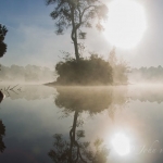 Boom in mist Boom in mist