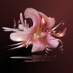 pink pink