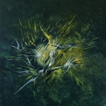 bird migration bird migration