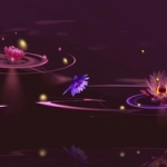 waterlelies waterlelies