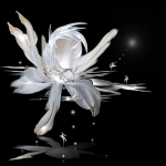 dansen in het maanlicht dansen in het maanlicht