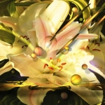 efflorescense efflorescense