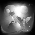 cover cover