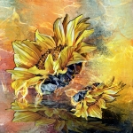 Zonnebloem Zonnebloem