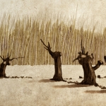 Landschap Landschap