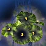 Groen en Geel Groen en Geel