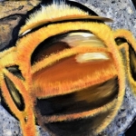 FreeBee FreeBee