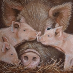 Moeder varken met biggetjes Moeder varken met biggetjes