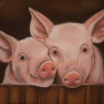 Varkens in hok Varkens in hok