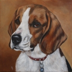 Beagle Beagle