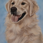 Golden Retriever Golden Retriever