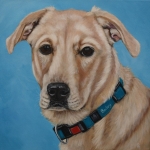 Labrador Labrador