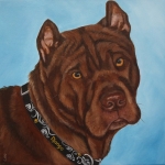 Shar Pei Shar Pei