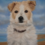 Parson Jack Russel Parson Jack Russel