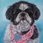 Shih Tzu Shih Tzu