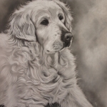 Golden Retriever Golden Retriever