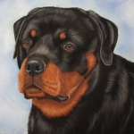 Rottweiler Rottweiler