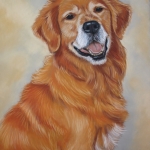 Golden retriever Golden retriever