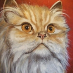 Persische kat Persische kat