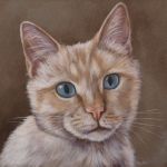 Jonge kat Jonge kat