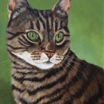 Cyperse kat Cyperse kat