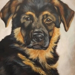 Duitse herder pup Duitse herder pup