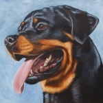 Rottweiler Rottweiler