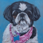 Shih Tzu Shih Tzu