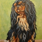 King Charles Spaniel King Charles Spaniel