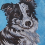 Border Collie Border Collie
