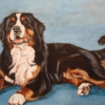 Berner Sennen Berner Sennen