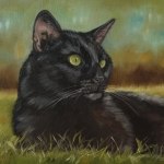 Zwarte kat in gras Zwarte kat in gras