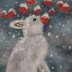 Sneeuwhaas Sneeuwhaas