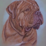 Bordeaux Dog Bordeaux Dog
