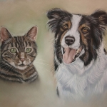 Border Collie en Cyperse Kat Border Collie en Cyperse Kat