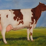 Holstein Friesian Holstein Friesian