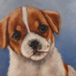 Jack Russel Pup Jack Russel Pup