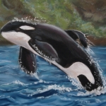 Springende orca Springende orca