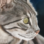 Jonge kat Jonge kat