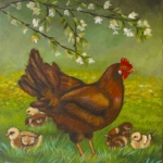 Kip met kuikens Kip met kuikens