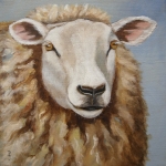 Texels Schaap 3 Texels Schaap 3
