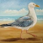 Meeuw op strand Meeuw op strand