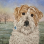 Kruising west highland white terrier en jack russel Kruising west highland white terrier en jack russel