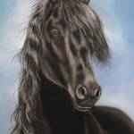 Fries Paard 2 Fries Paard 2