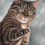 Cyperse kat 3 Cyperse kat 3