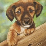 Puppy Puppy