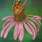 Vlinder op bloem Vlinder op bloem
